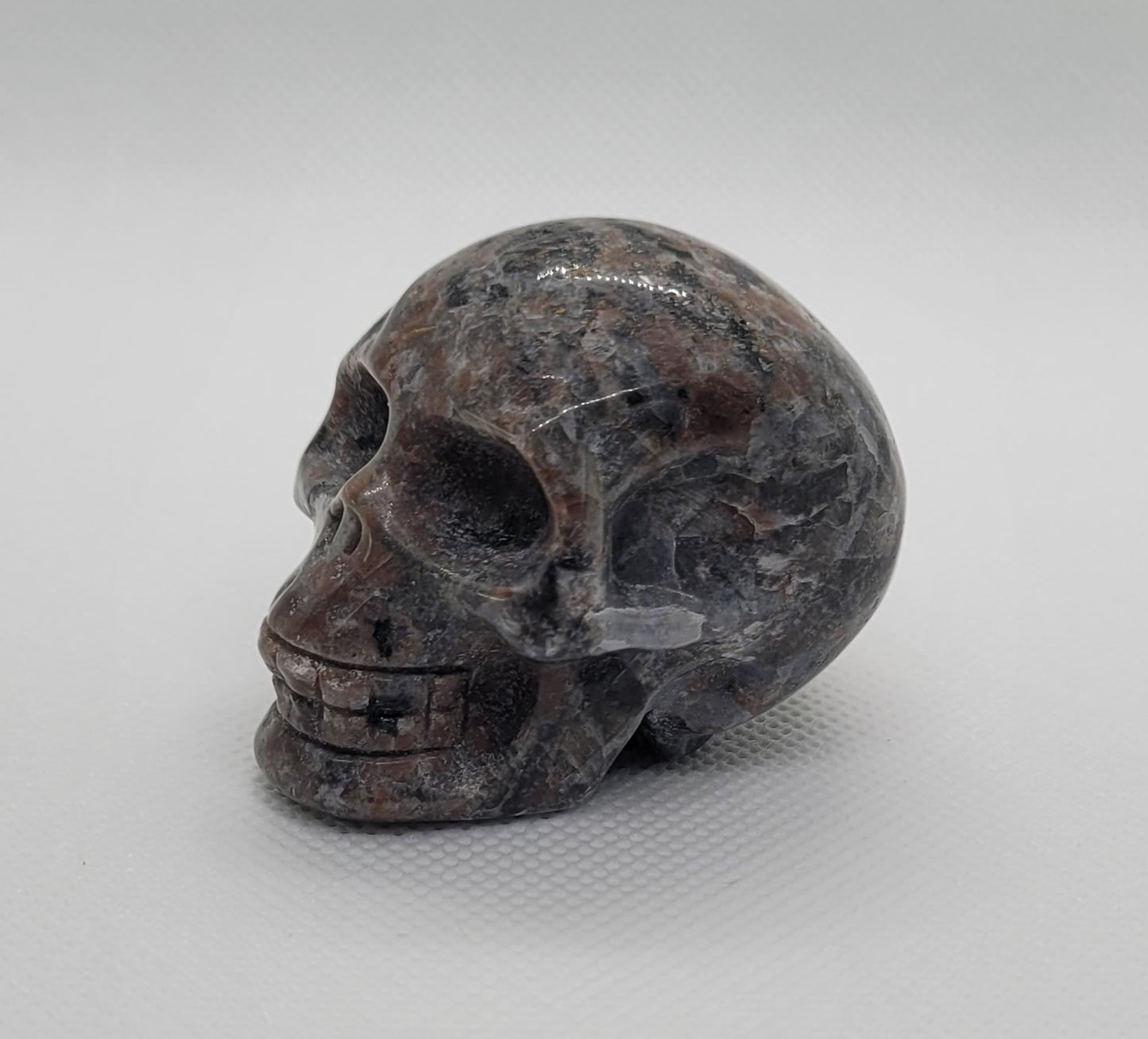 Yooperlite Skull