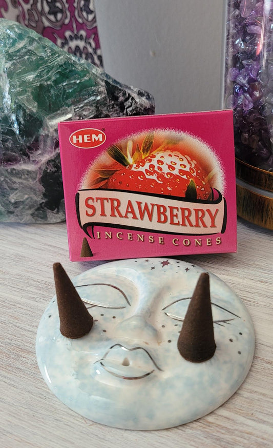 HEM Strawberry Incense Cones