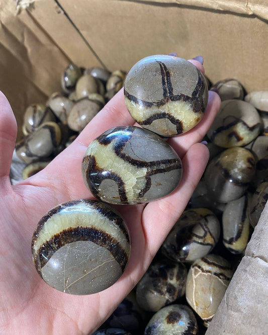 Septarian "Dragon Stone" Palm Stone